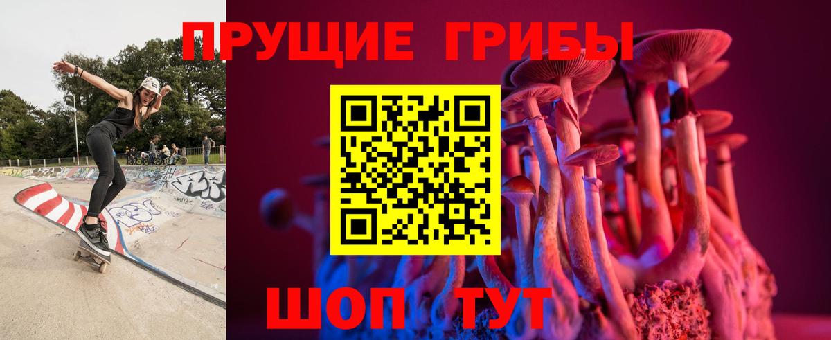 Полысаево  Псилоцибиновые грибы MAGIC MUSHROOMS  Вход с VPN 